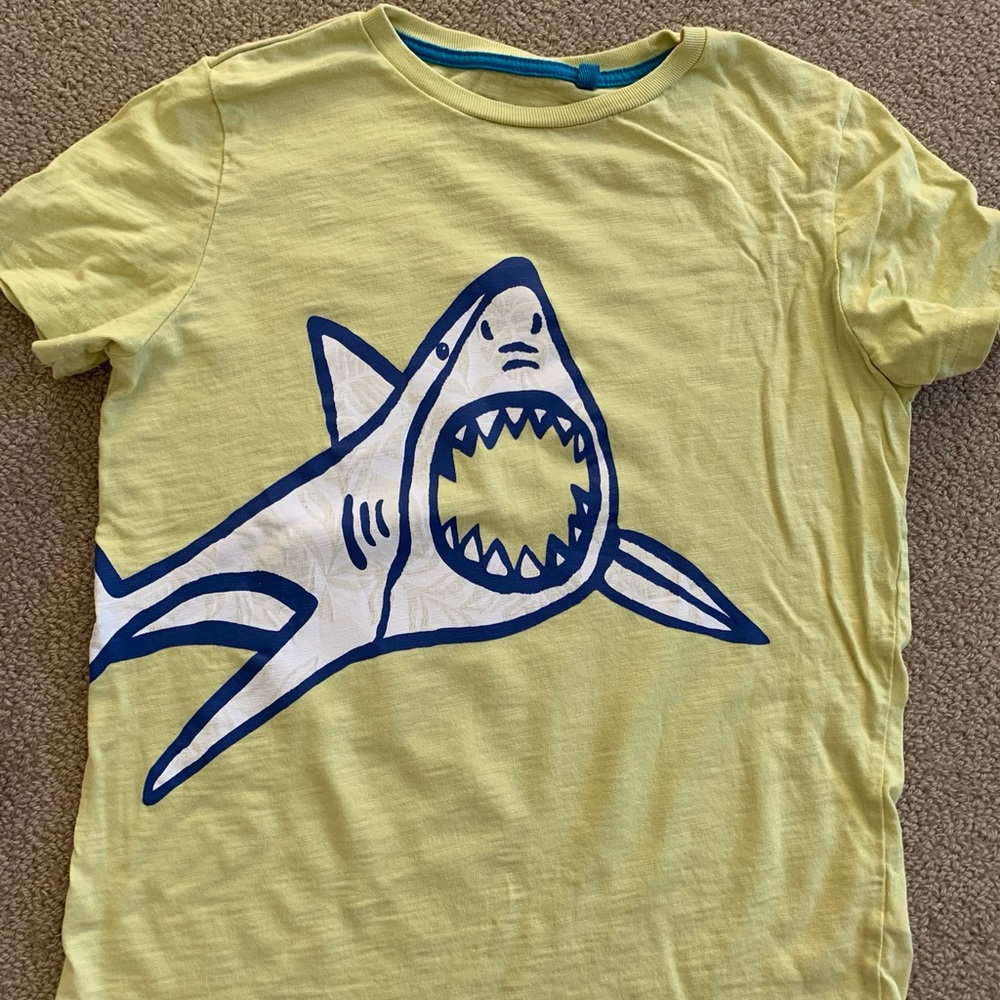 Boys Mini Boden T-shirt ages 11-12 years